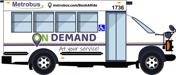 Chapter Screen Mockup Placeholder